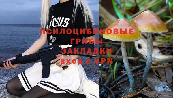 соль курить ск Богородицк