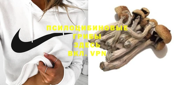 СК Рославль