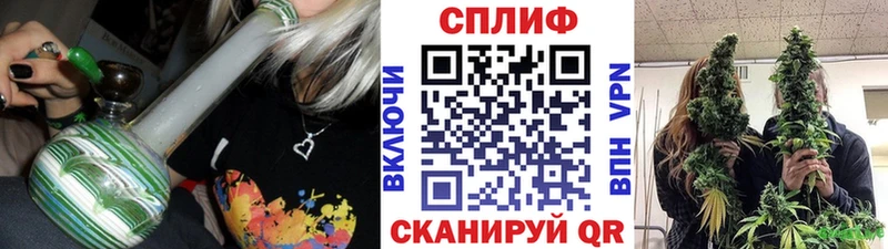блэк спрут зеркало  Ленинградская  Шишки марихуана гибрид 